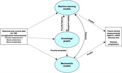 A framework towards digital twins for type 2 diabetes